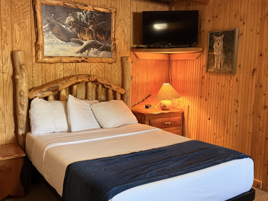 Cabin bedroom with a log bed frame and bedside lamp