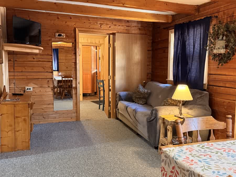 Open-plan cabin living area and kitchen